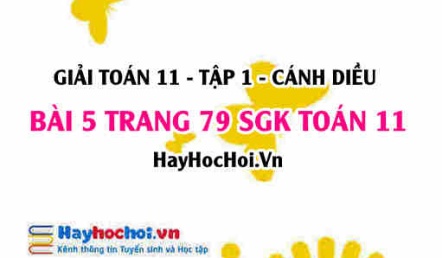 Giải bài 5 trang 79 Toán 11 tập 1 SGK Cánh Diều